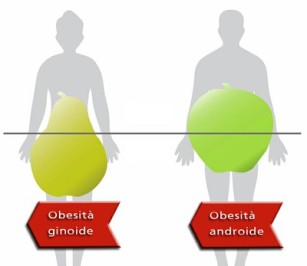 ginoide-VS-androide